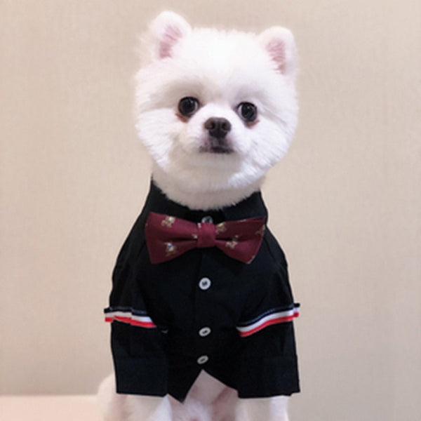 Cat Clothing Christmas Clothes for Cats Kittens Clothes Poodle Pet Costume Plaid Pet Clothes Fashion Pet Clothes 50MYF036