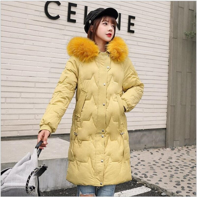 New Slender Fashion Women Winter jacket Hooded clothes Downstairs Cats Parka Winter Jas For Girls Plus Size Vested Jackets 386