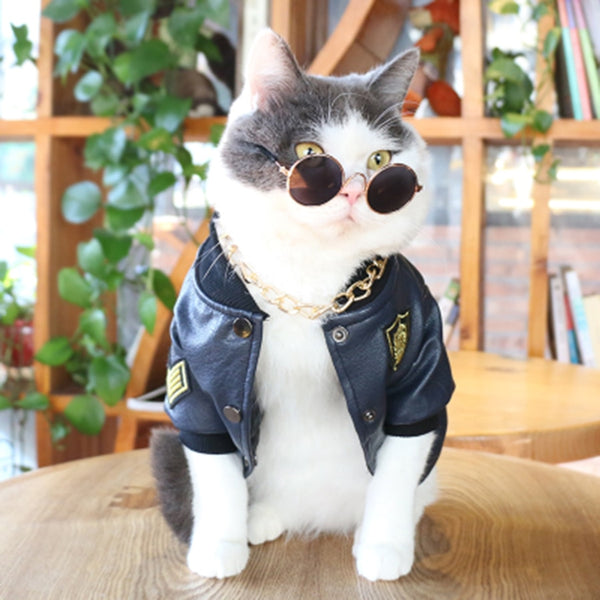 Pet Clothes Cat Clothing for Pets Princess  Spring/Summer  Fashion  Pet Costume  Cat Hoodie Christmas Clothes Costume 50MYF043